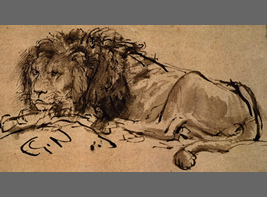Cape lion, which was painted by Rembrandt H. van Rijin