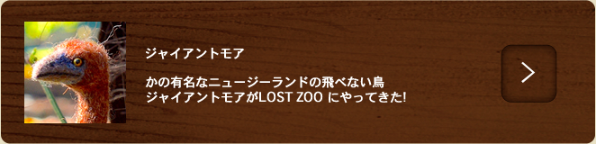 ジャイアントモア