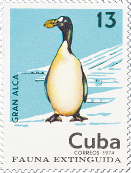 The Great auk on the stamp of Cuba