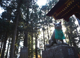 ニホンオオカミを祀る三峯神社の狛犬