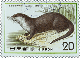 日本の切手にデザイン されたニホンカワウソ 