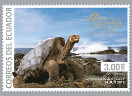 d-footed tortoise, the next relative to Lonesome George on the South American continent