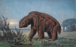 Vintage drawing of Megatherium in 19 century①