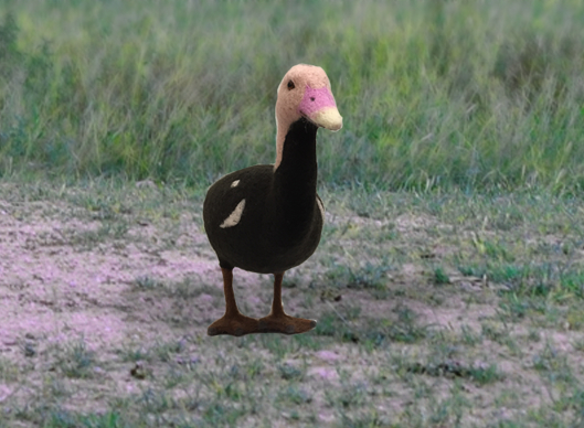 LOST ZOO | LOST ZOOのバライロガモ