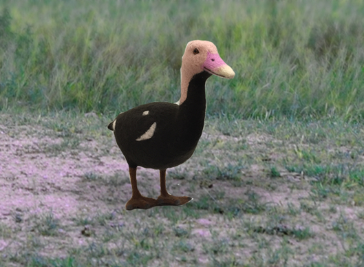 LOST ZOO | LOST ZOOのバライロガモ