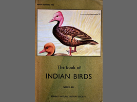「インド鳥類」表紙を飾るバライロガモ
