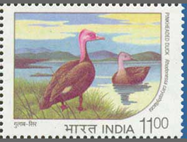 インドの切手にデザインされるバライロガモ
