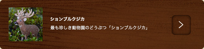 ションブルクジカ