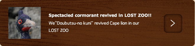 Spectacled cormorant