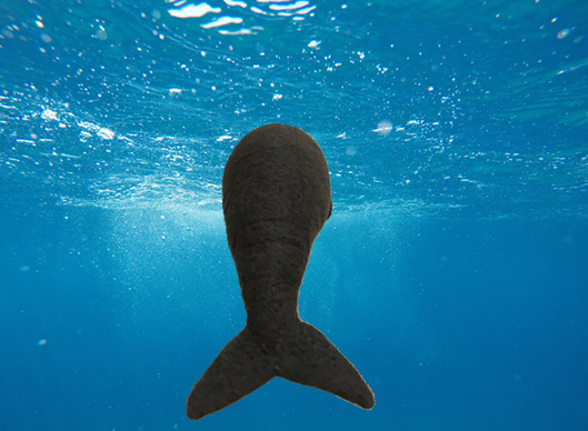 LOST ZOO | LOST ZOOのステラーカイギュウ