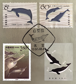 Chinese river dolphin which is designed for Chinese stamp