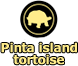 The Pinta island tortoise