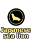 Japanese sea lion