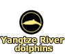 Yangtze river dolphins